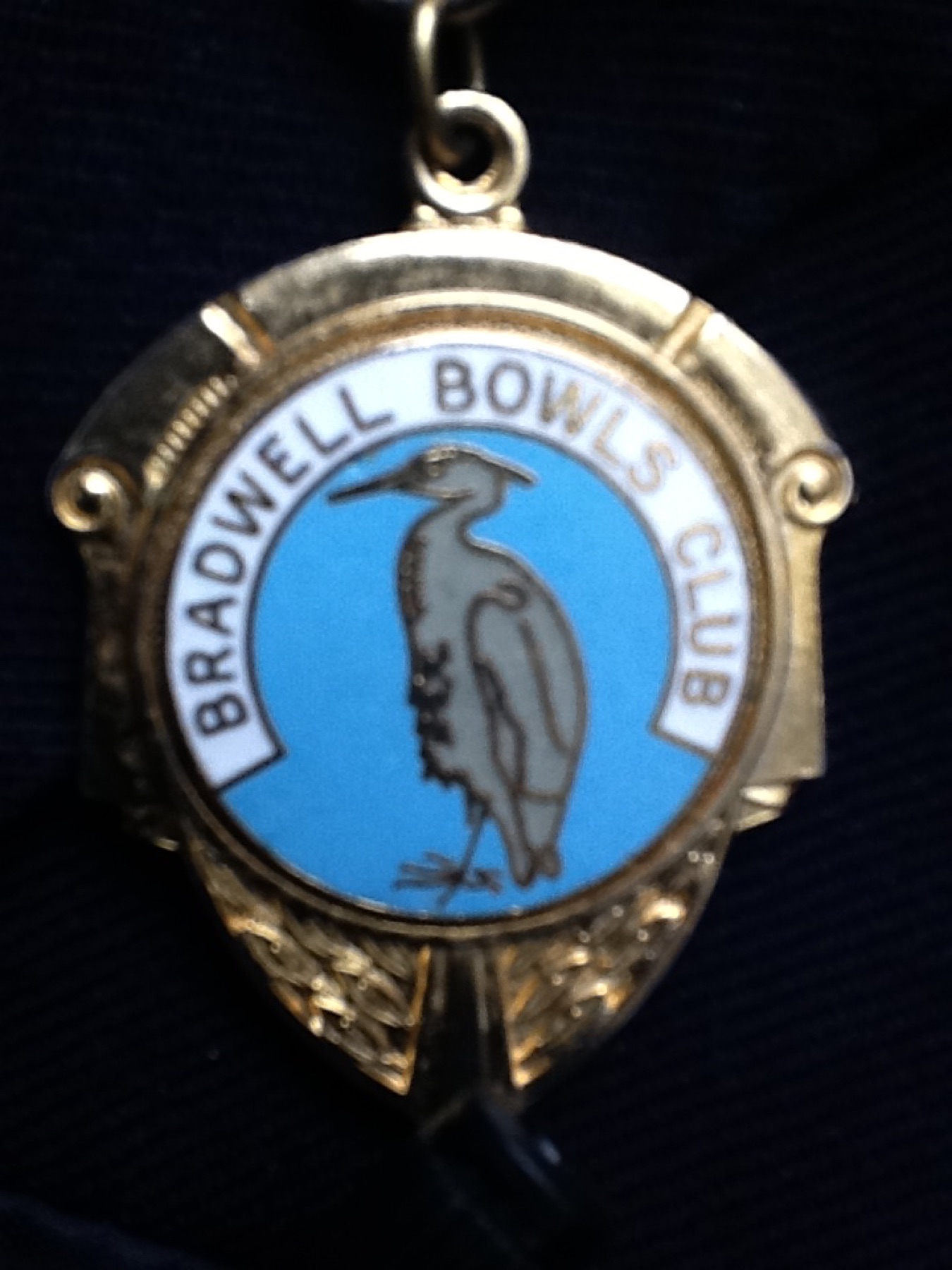 Badge, Medal & Trophy to Vector — Before 1