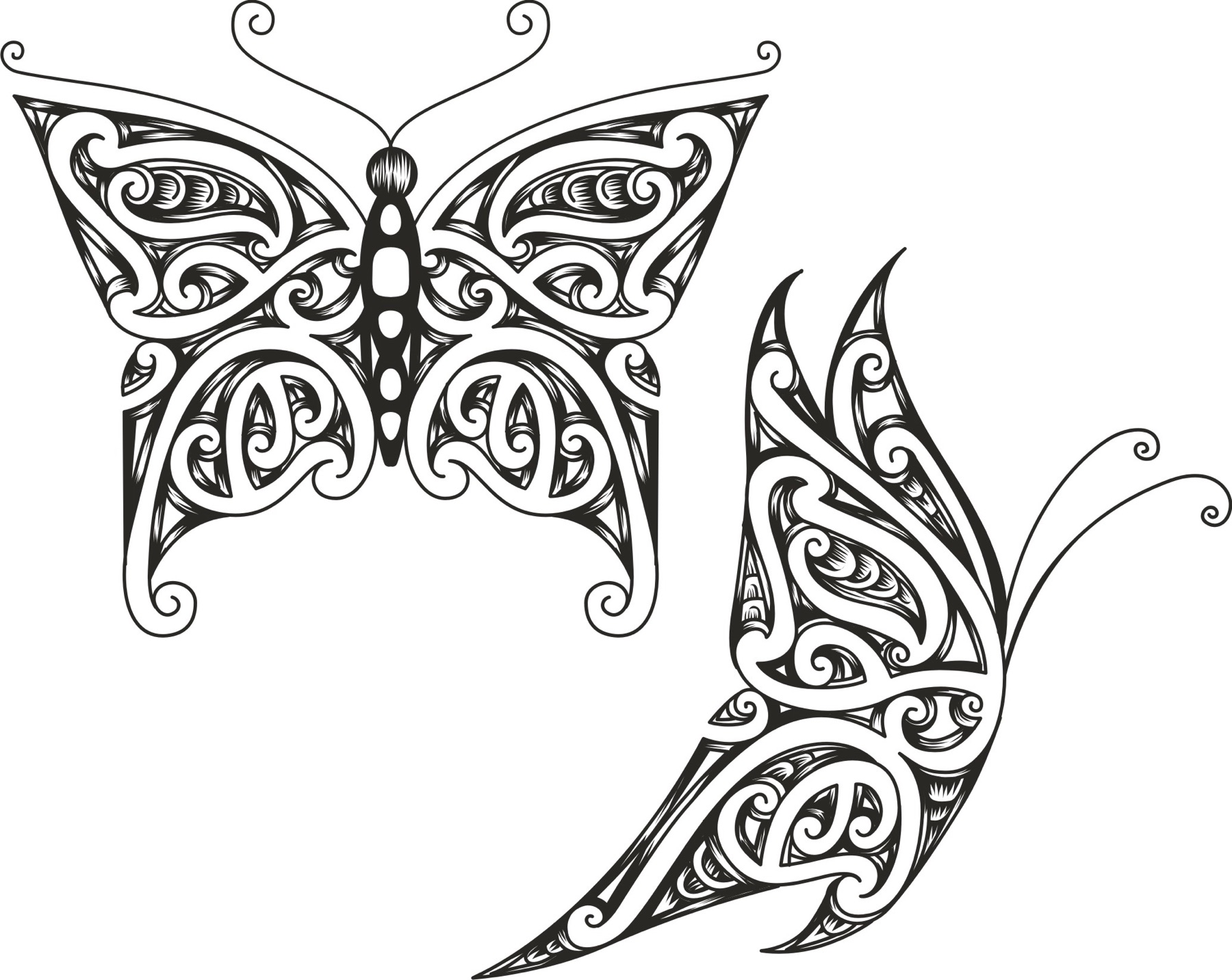 Hand-Drawn Art to Vector — After