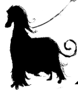 Silhouette Creation — Before 2