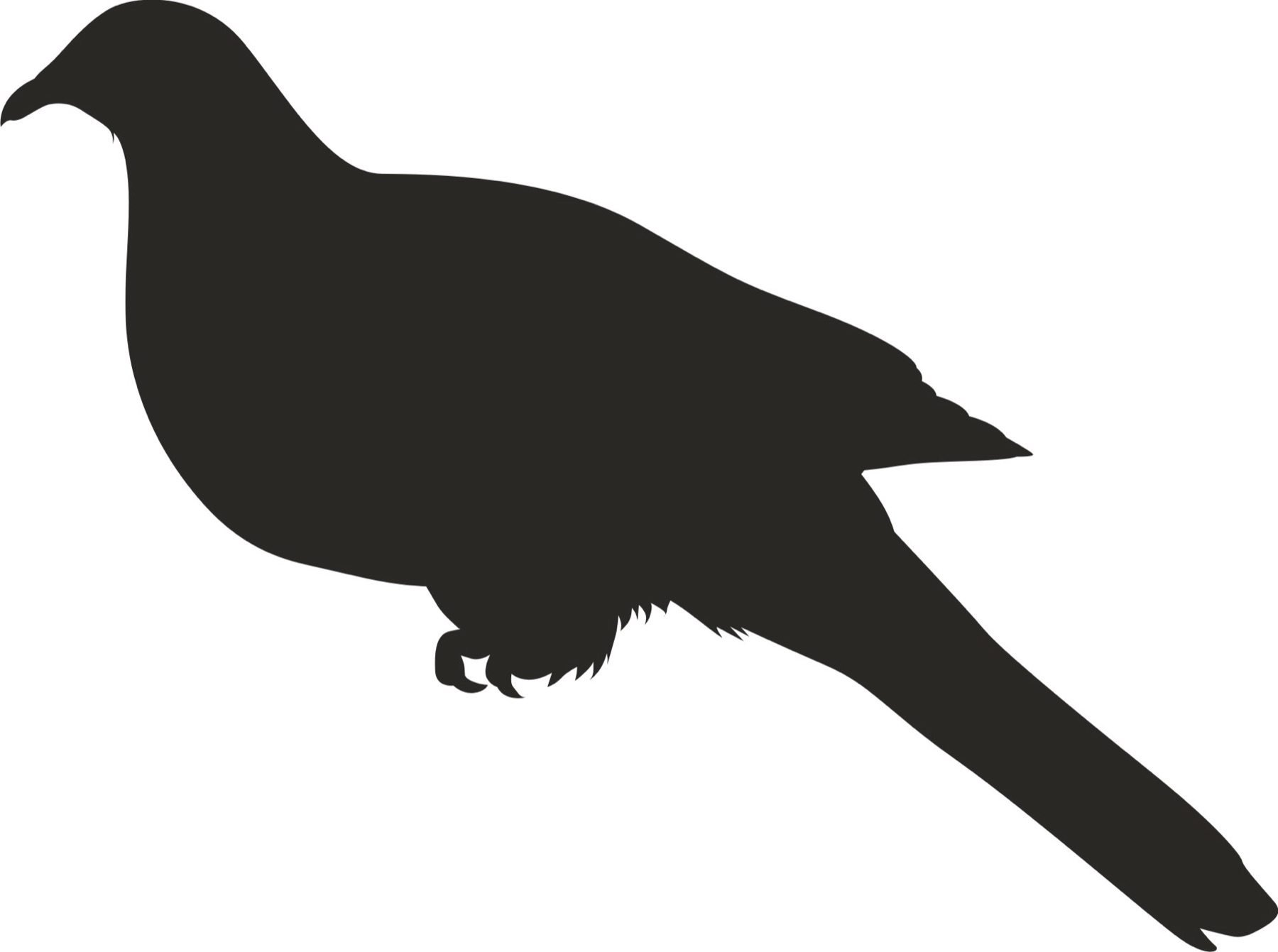 Silhouette Creation — After