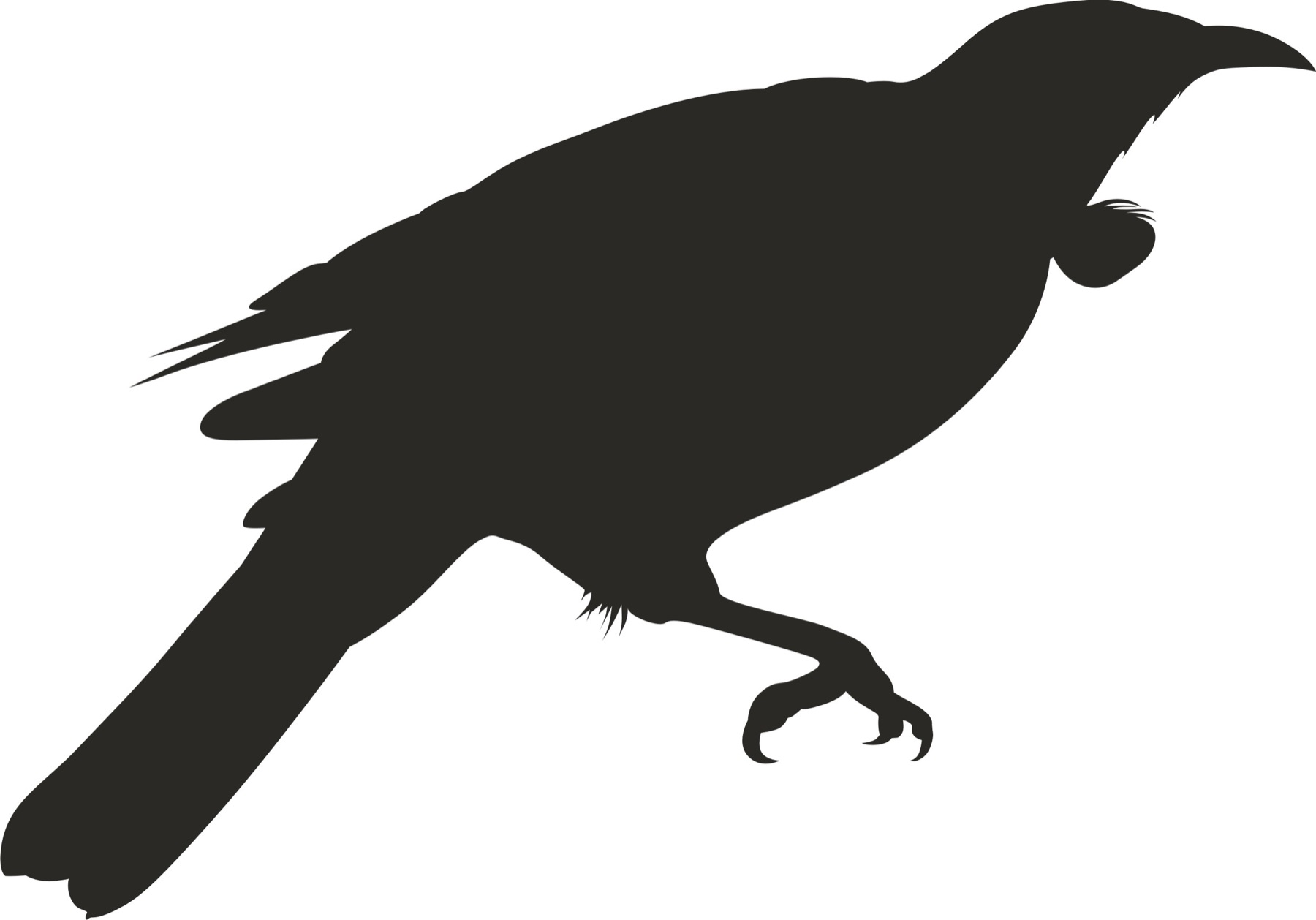 Silhouette Creation — After