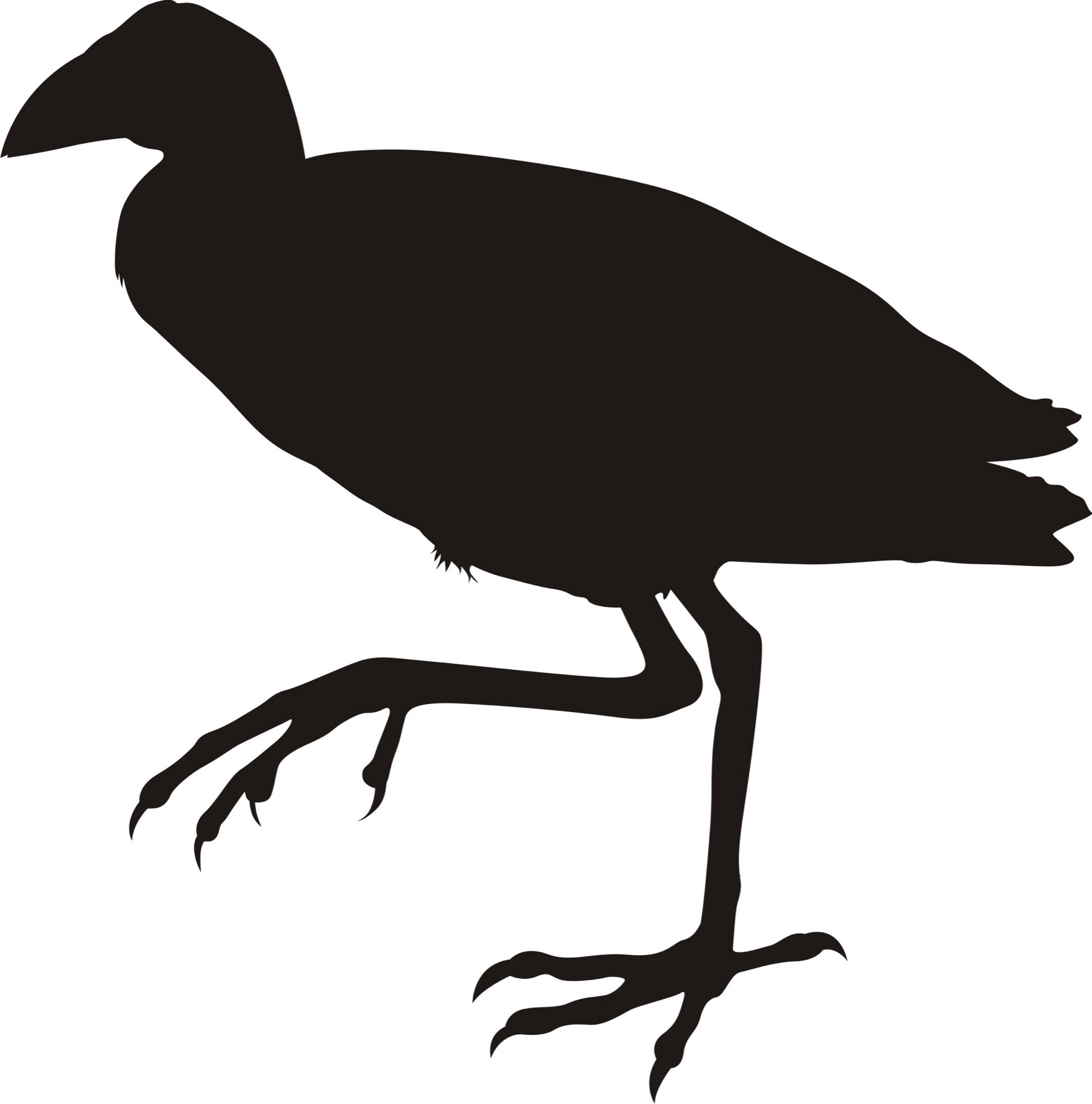 Silhouette Creation — After