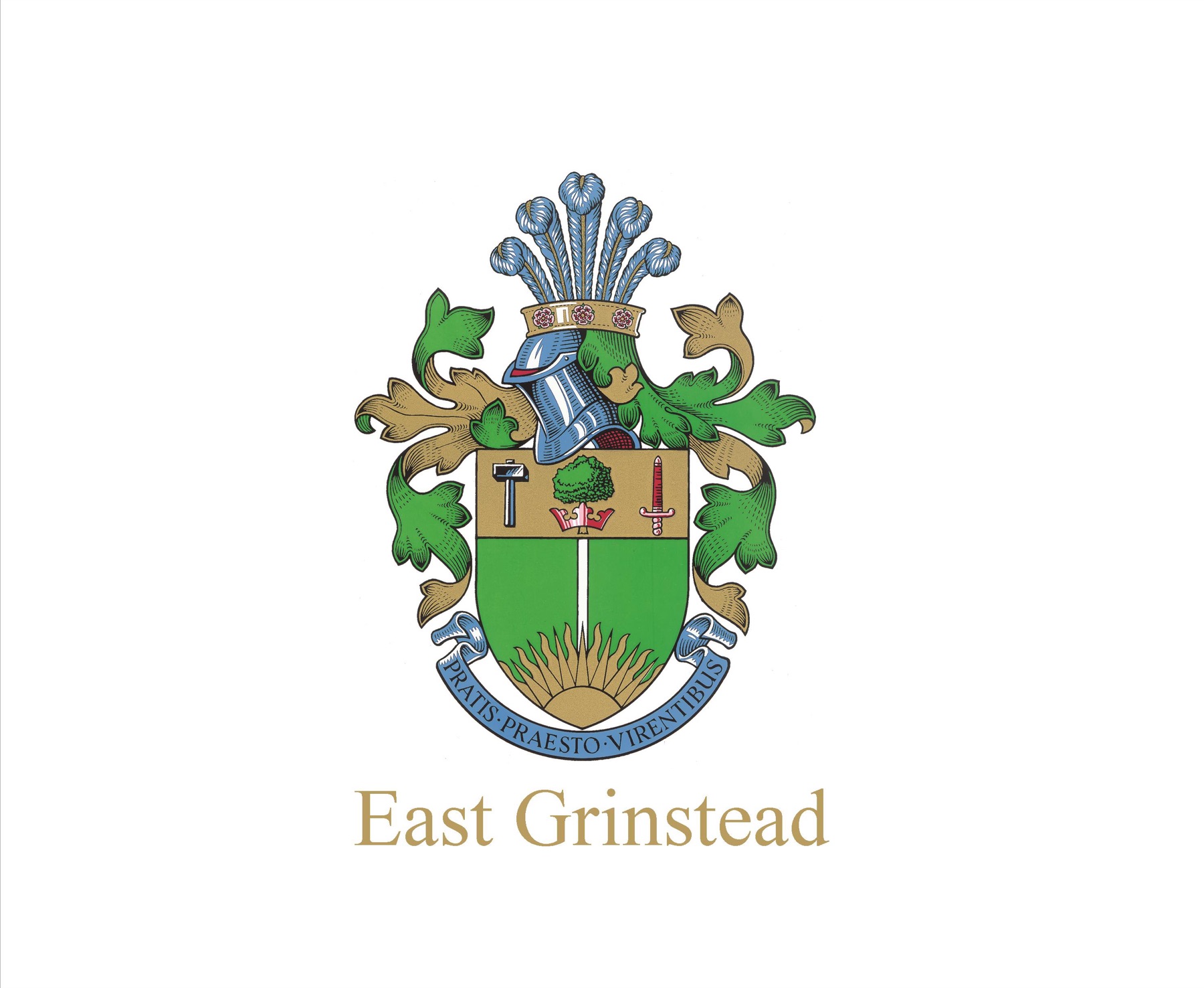 Complex Crest Creation — Before