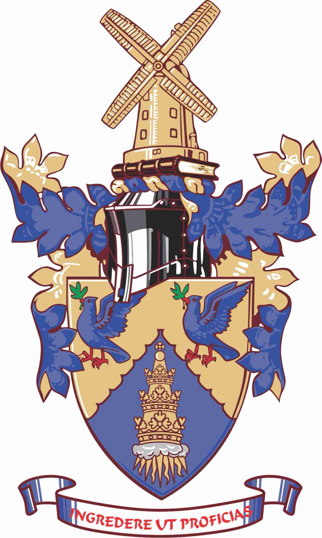 Complex Crest Creation — After