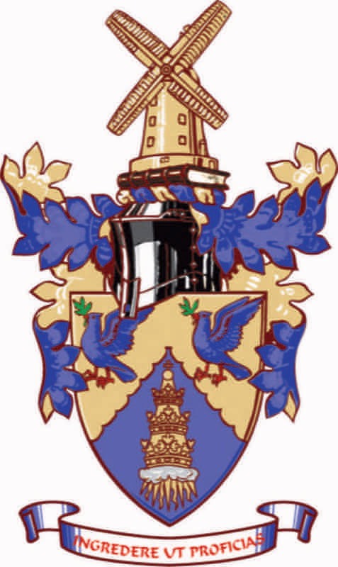 Complex Crest Creation — Before