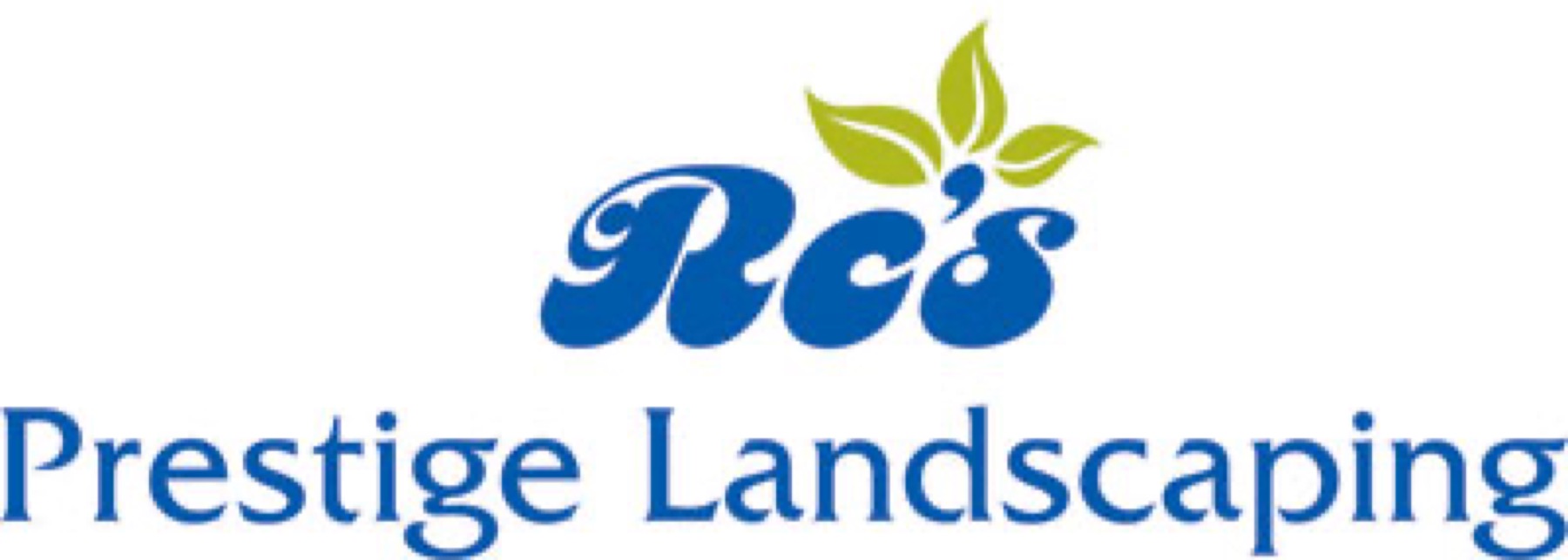 Logo Designing