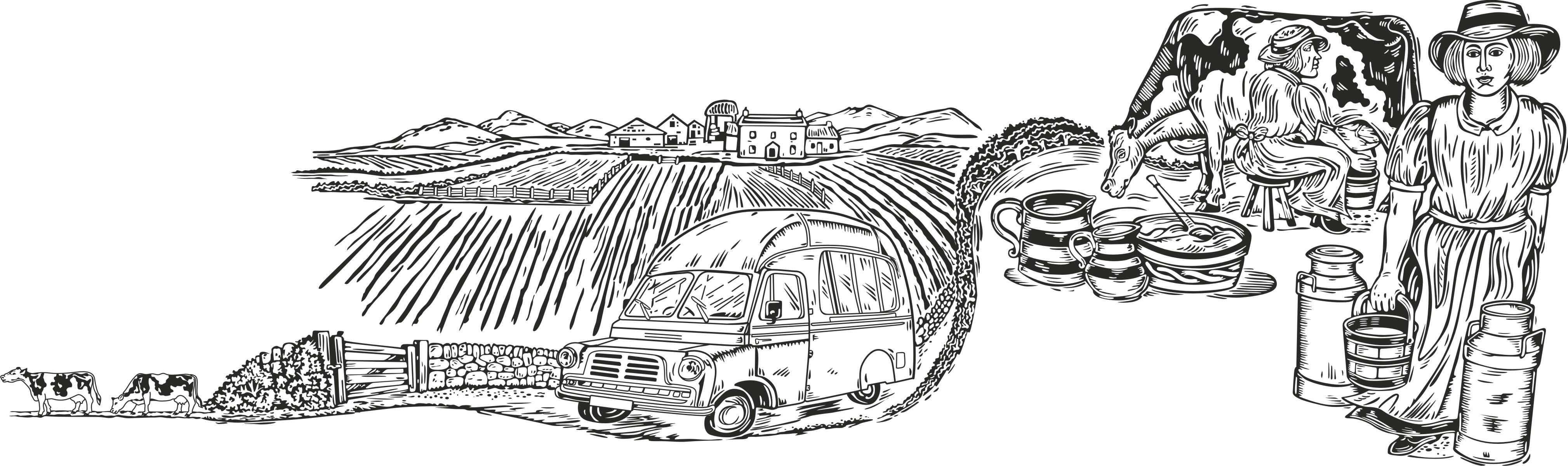 Vehicle Wraps Designs — After